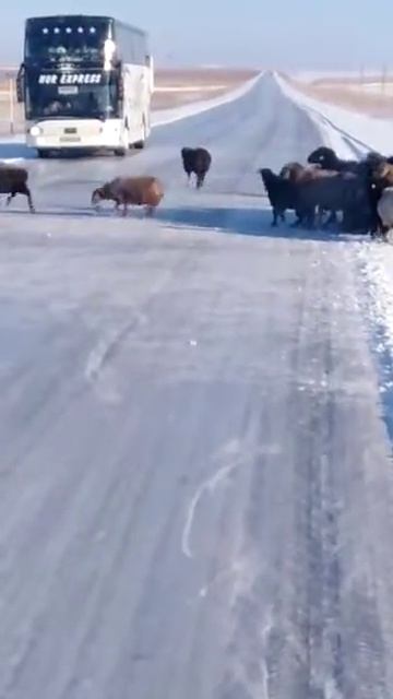 Фт п смотреть онлайн
