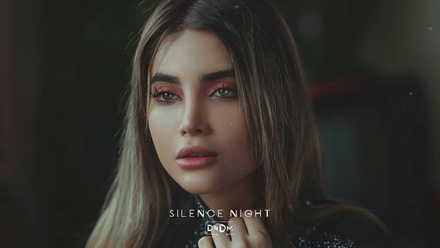 DNDM - Silence Night (Original Mix) смотреть онлайн