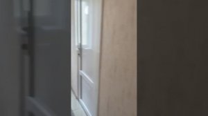 1000142004.mp4