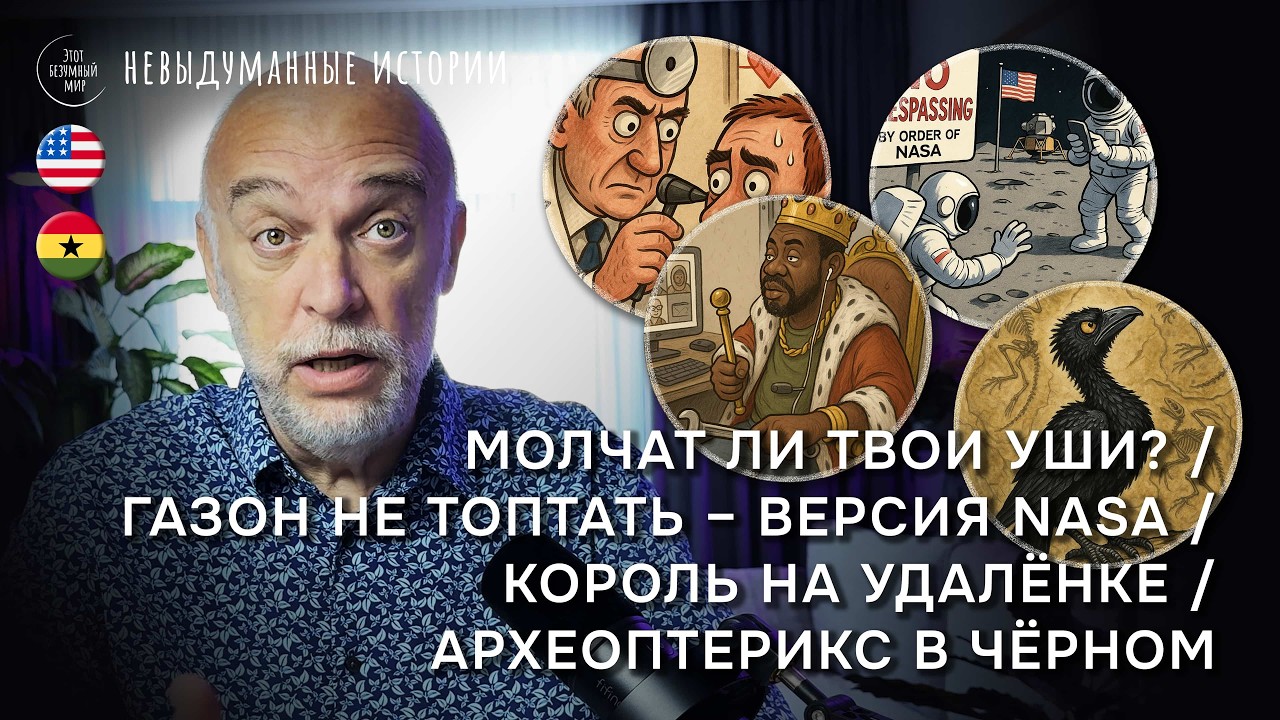 Молчат ли твои уши? / Газон не топтать – версия NASA / Король на удалёнке / Археоптерикс в чёрном смотреть онлайн