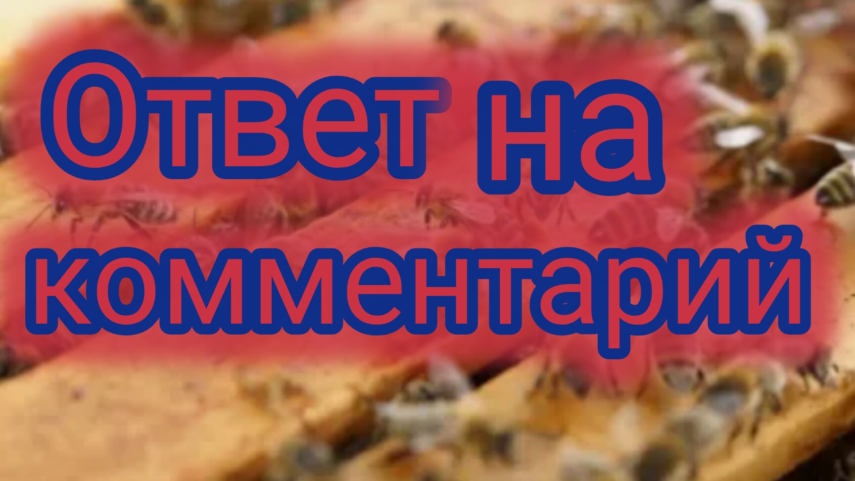 Ответ на комментарий 🐝 смотреть онлайн