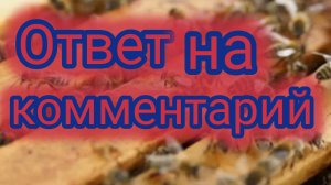Ответ на комментарий 🐝