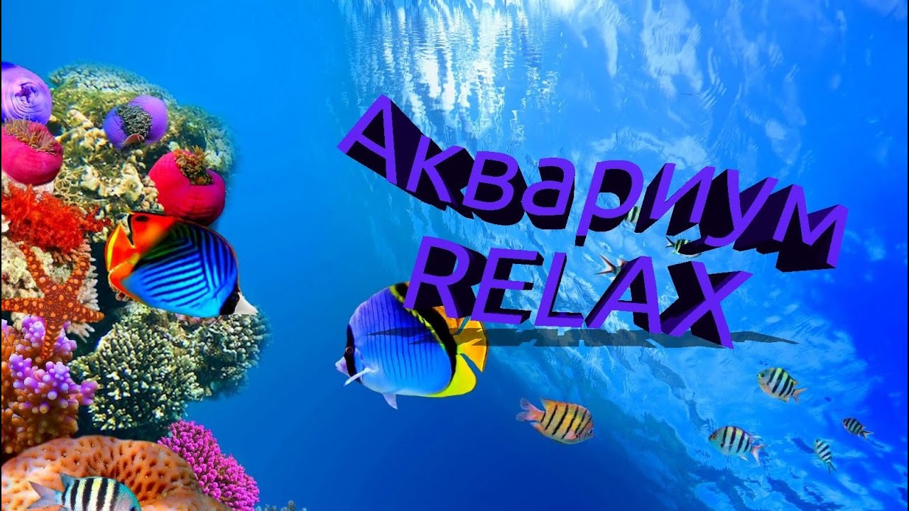 Аквариум RELAX музыка смотреть онлайн