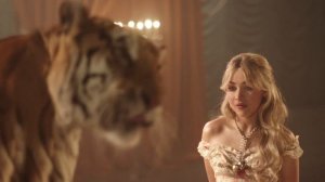 Sabrina Carpenter - because i liked a boy