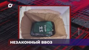 В порядке! / Незаконный ввоз / 10.07.26