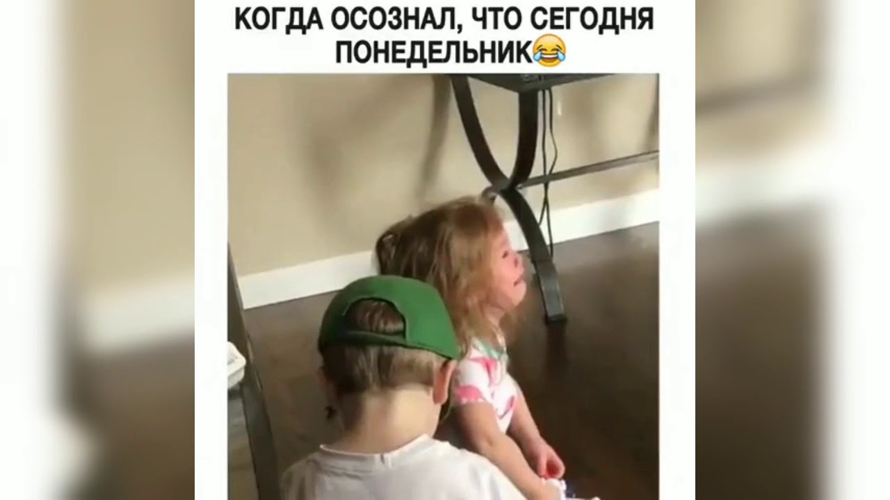 Kayfarik × Приколы💥 смотреть онлайн