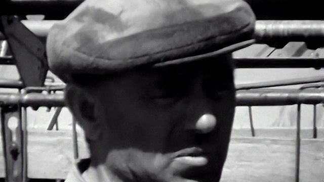 1985 год. Упоровский район. Полевые работы