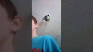 Голосования идёт так жду ответы?)🖐️
