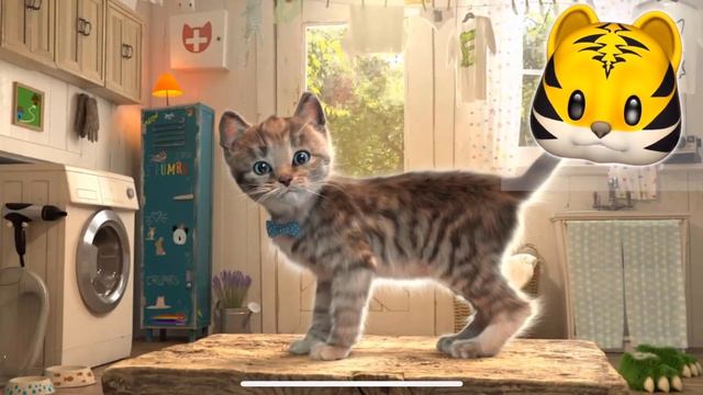 ПРИКЛЮЧЕНИЕ МАЛЕНЬКОГО КОТЕНКА - мультик для детей и малышей Little Kitten мультфильм пр смотреть онлайн