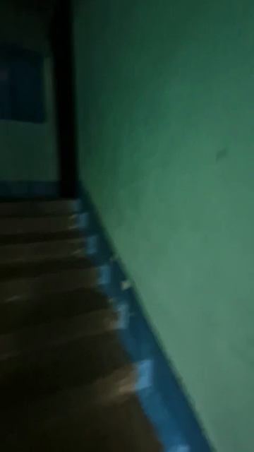 WhatsApp Video 2026-07-10 At 11.41.20