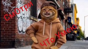 Когда коты услышали бит: самый милый танец в мире»