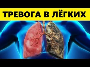 Легкие Будут Дышать По Новому! Вот Как Сохранить Свои Лёгкие Здоровыми Как Можно Дольше...