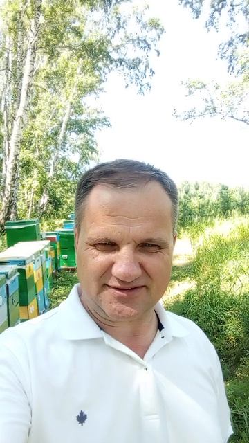 9 июля 2026 год пасека в лесу