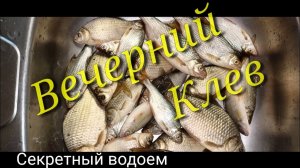 Вечерняя Рыбалка!!! Хотел половить Карася,но нарвался на .....