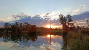 Бутерброды с грибами / снова рыбалка