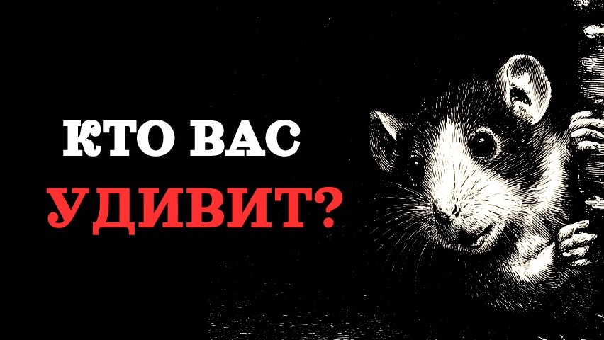 🔥КТО ВАС УДИВИТ? 🔥 смотреть онлайн