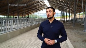 Строительство современной молочной фермы проходит в Усть-Канском районе Республики Алтай