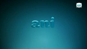 Уход на профилактику канала Ani 16.04.2025