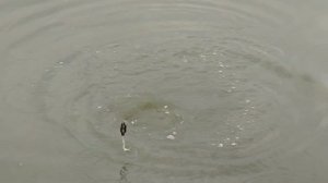 1000049284.mp4
