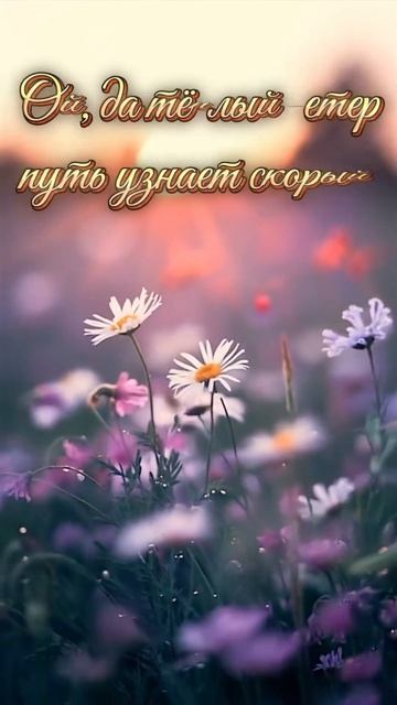 доброе утро смотреть онлайн