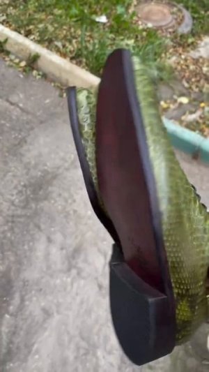 Оксфорды из кожи питона