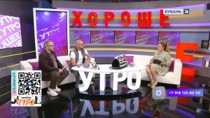 Диана Алексеева: люди начали ответственнее относиться к найденным на улице котам