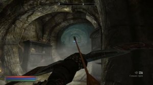 TES V: Skyrim | Обзор мода Ordinator