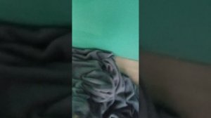 моё утро чеккккк!