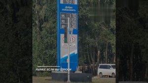 «Будут жаловаться — еще выше поставлю»: Владелец частной АЗС обосновал цены на топливо