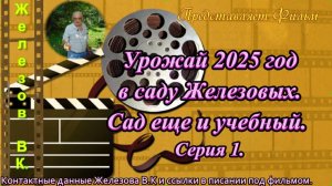 Урожай 2025 год в саду Железовых. Сад еще и учебный. Серия 1.