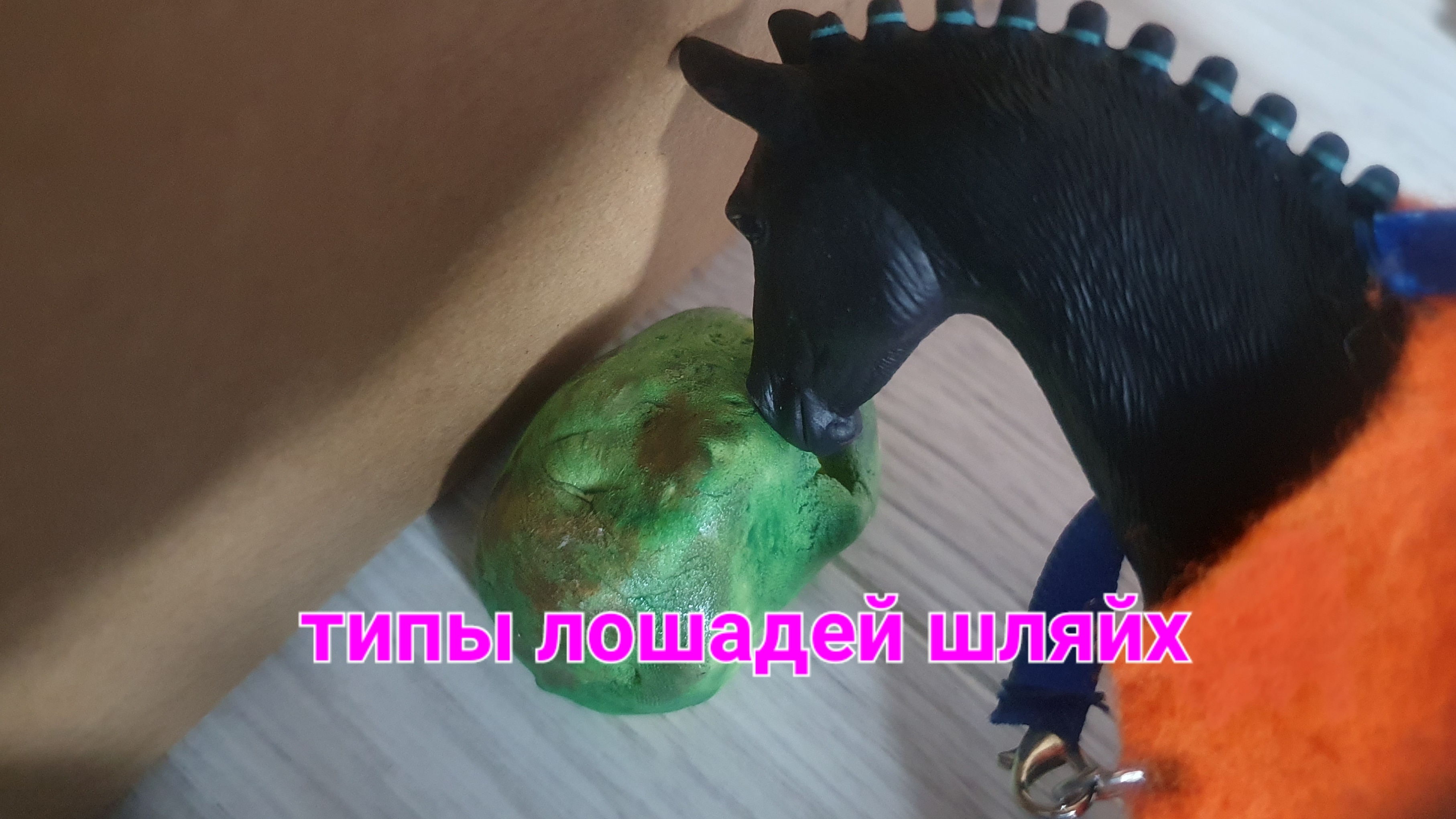 типы лошадей шляйх