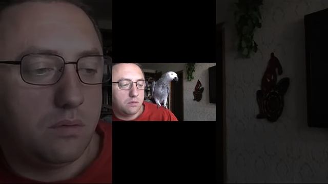 Пацелую смотреть онлайн