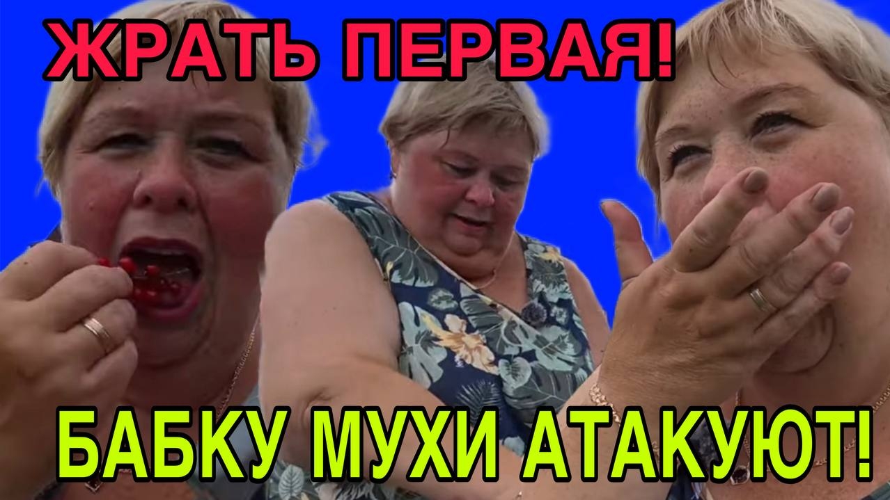 УГАР! БАБКУ МУХИ АТАКУЮТ! ОЛЬГА УРАЛОЧКА LIVE. ОБЗОР. смотреть онлайн