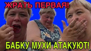 УГАР! БАБКУ МУХИ АТАКУЮТ! ОЛЬГА УРАЛОЧКА LIVE. ОБЗОР.