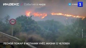 Лесной пожар в Испании унёс жизни 12 человек