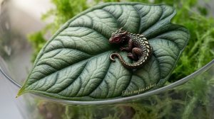Алоказии в разных субстратах! Очередная попытка подружиться ! Что осталось?