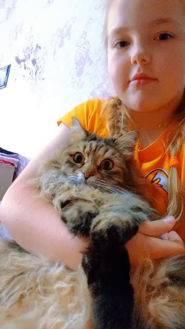 #кошкаИриска #втренде
