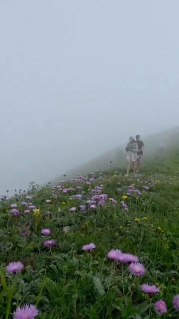 На самом верху невероятной красоты❤️