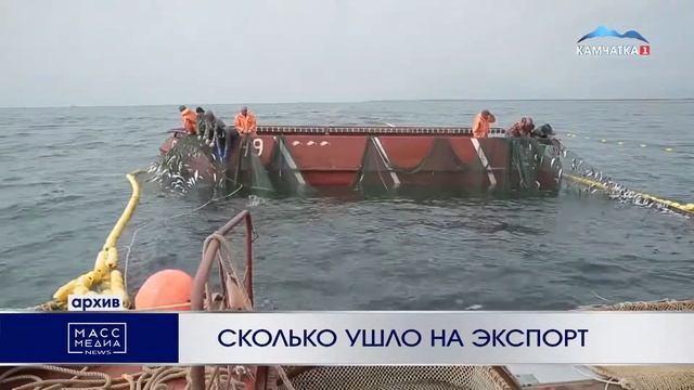 Сколько ушло на экспорт | Новости Камчатки | Происшествия | Масс Медиа смотреть онлайн