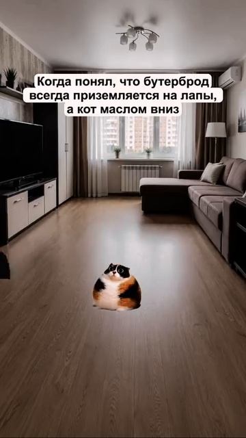 Котость