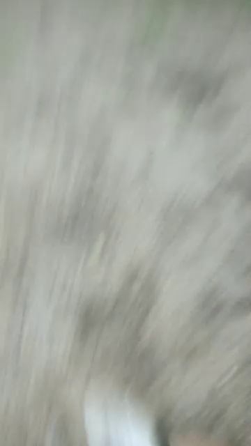 Платон тон 😂😂😂😂 и Лена полено
