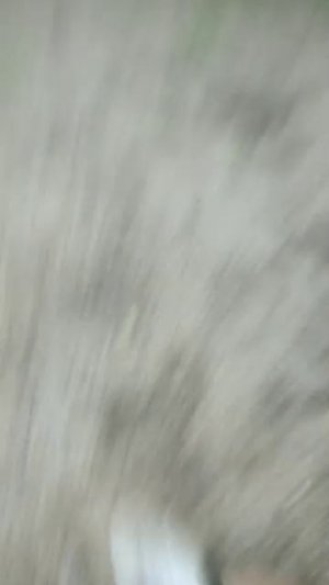 Платон тон 😂😂😂😂 и Лена полено