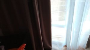 3910.mp4