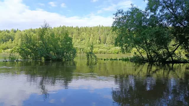Сплавы