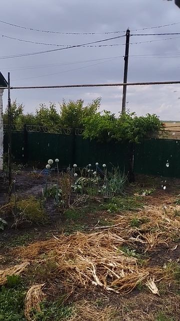 Дождик на даче смотреть онлайн