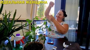 ПОВЕЗЛО ДАК ПОВЕЗЛО🥳