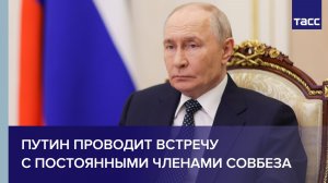 Путин проводит встречу с постоянными членами Совбеза