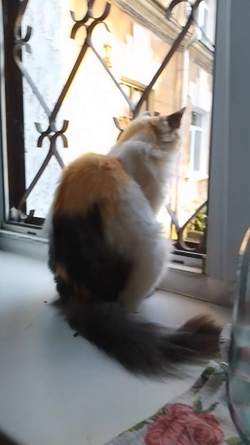 1000000899.mp4 смотреть онлайн