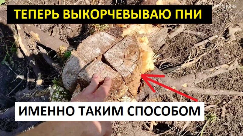 Как выкорчевать пень своими руками