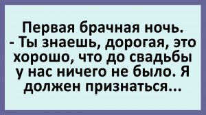 Первая брачная ночь. Знаешь, дорогая, это хорошо, что до свадьбы мы... | Анекдоты смешные | Юмор